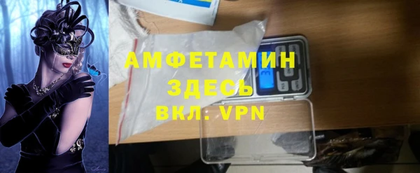 индика Струнино