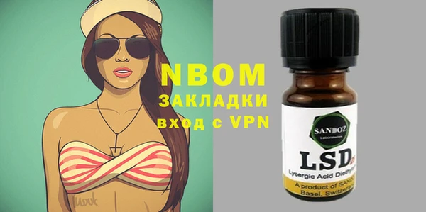 индика Струнино