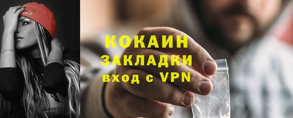 индика Струнино