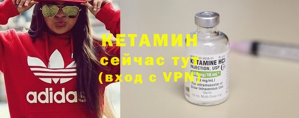 индика Струнино