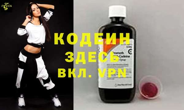 индика Струнино