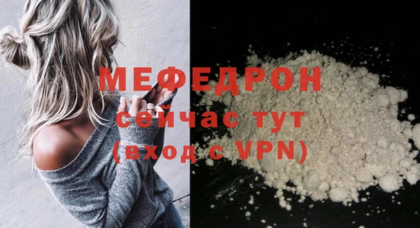 индика Струнино