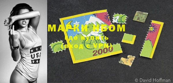 индика Струнино
