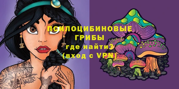 индика Струнино