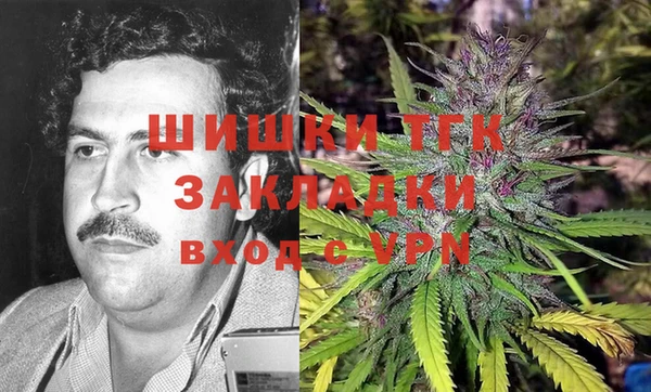 индика Струнино