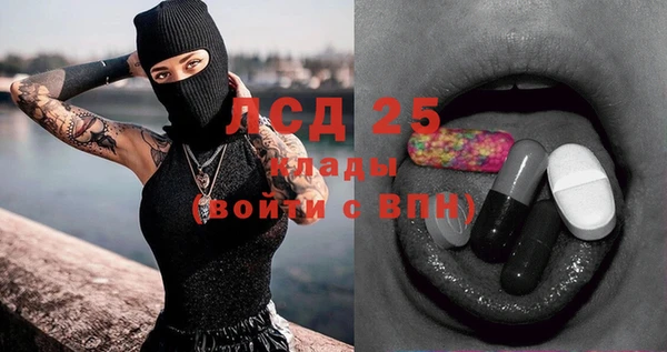 индика Струнино