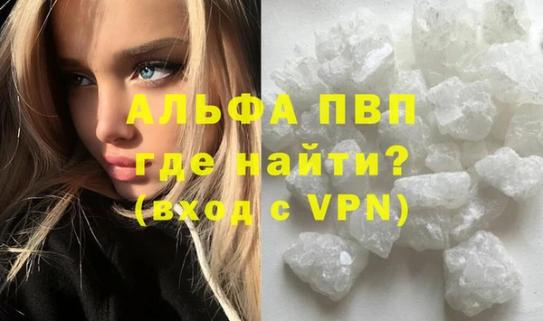 индика Струнино
