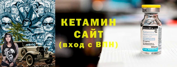 индика Струнино