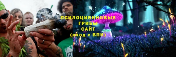 индика Струнино