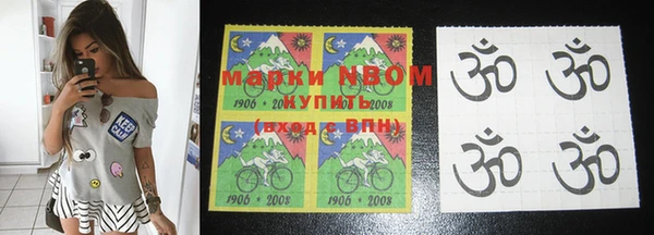 индика Струнино