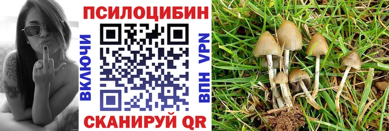Галлюциногенные грибы Cubensis  продажа наркотиков  Муром 